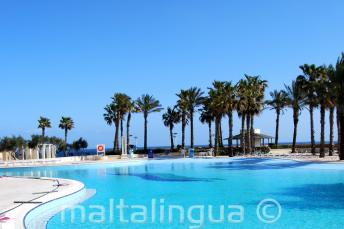 Piscine avec vue sur la mer du Hilton Malte