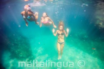 3 amis nageant sous l'eau.