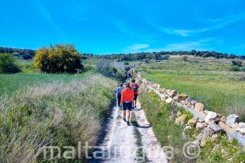 Un groupe d'étudiants d'anglais marchant dans la campagne à Malte