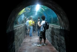Les étudiants dans un tunnel de l'aquarium
